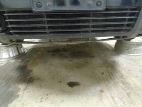 104-59032 Grille Center Fits 01-05 Passat 1318793