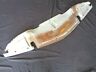 1m-17744 Ford Motor Company Mercury Grill Gravel Guard Stone Shield Bumper