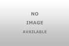 44752 Go Industries Grille Guard