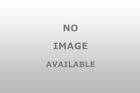 46650 Go Industries Grille Guard