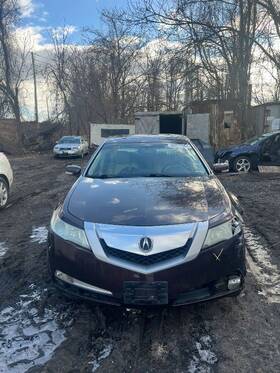 104-50717 Acura Grille Fits 09-11 Tl 3277