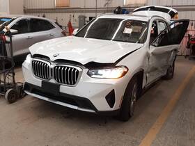 Bmw 104-12463d Oem Grille For X3 Assy Slvr Blk Scratches