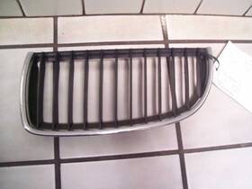 104-50176al Bmw Driver Grille Canada Market Upper Fits 06-08 323i 311032