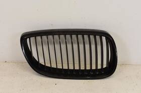104-50423r Bmw 2007-2010 335i Coupe Passenger Rh Side Bumper Mounted Grille
