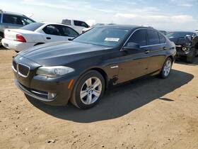 104-51086 Bmw Grille Lower Bumper Mounted Center Fits 11-13 528i 1393104