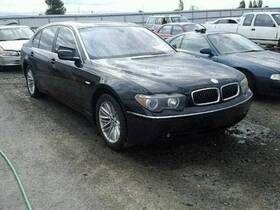 104-59108 Bmw Grille Lower Bumper Mounted Without Adaptive Cruise Fits 02-05 745i 751396