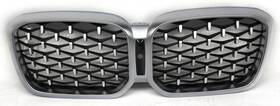 51-13-5-a20-763 Bmw Oem Upper Grille Insert For X4 Xdrive30i Silver Surround