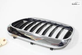 51137383519 Bmw 2017-2020 530i G30 Front Left Driver Side Bumper Radiator Grill Grille Oem