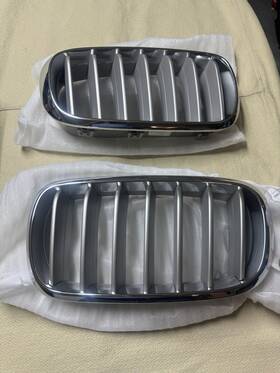 7303107 Bmw 2018 X5 Grilles