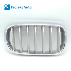 7316062 Bmw 14-18 Oem Front Right Grill Chrome Outer Satin Silver Slats X5 F15