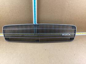 10068972 Buick 1989-1990 Century Front Bumper Grille Oem