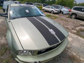 104-01946 Ford 2006-2009 Mustang Front Bumper Grille Nygt3