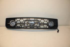 Ford 6r3j-82000-aew 05-09 Mustang Front Upper Center Grill Grille Pony Edition With Fog Lights