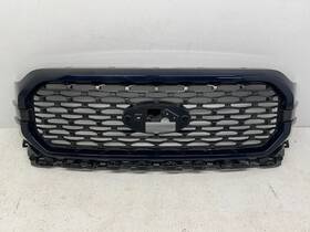 Nl34-8200-la51bx Ford 2021-2023 F-150 F150 Stx Front Center Upper Radiator Grille Grill Blue Oem