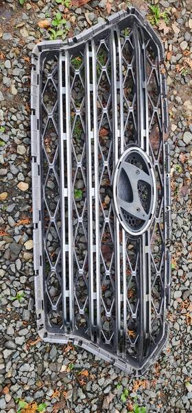 10142024043011 Hyundai 20-22 Palisade Limited Front Bumper Grill Oem