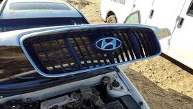 863502d070 Hyundai 2001-2003 Elantra Front Grille Oem Chrome
