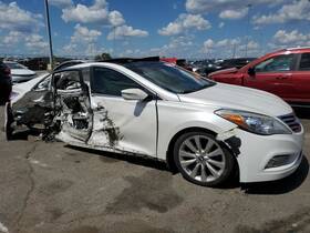 863503v000 Hyundai Grille Upper Chrome Fits 12-14 Azera 3963999