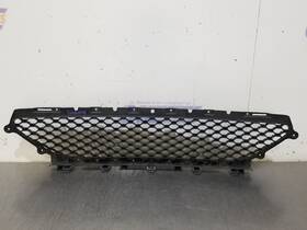 104-10914 Jaguar 19-20 F Pace F-pace Svr Oem Lower Grille