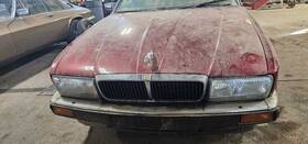 104-58874 Jaguar Grille Chrome-black Fits 1994 Xj12 1166713