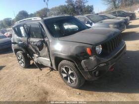 104-11398 Jeep Grille Center Fits 19-21 Renegade 4744245