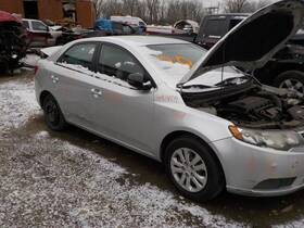 104-50830b Kia Grille Sedan Lower Ex Without Fog Lamps Center Fits 10-13 Forte 1642486
