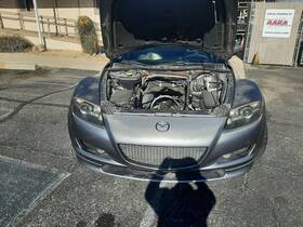 104-50613 Mazda Grille Fits 04-08 Rx8 201961