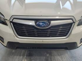 104-11147c Subaru Grille Lower Bumper Mounted Gray Surround Fits 19-21 Forester 3217328