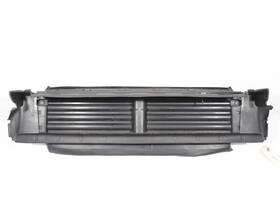 17a1223270z Volkswagen 2019-21 Jetta Lower Active Radiator Shutter Grill Grille