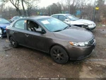 Grille Sedan Lower Ex Without Fog Lamps Center Fits 10-13 Forte 3752776. Fixed Price $82.99.