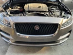 Used Upper Grille Fits: 2017 Jaguar F-pace Base Grade. Fixed Price $479.90.