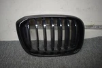Bmw Front Grille Factory Oem. Fixed Price $83.68.