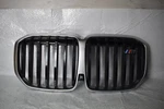 Bmw X7 Series Grille 2023-2025 Oem 7313008-09. Fixed Price $500.00.