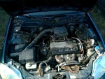 Grille Sedan Fits 96-98 Civic 2283767. Fixed Price $67.99.