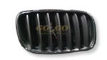 Passenger Grille Hood Titanium And Chrome Finish Fits 07-13 Bmw X5 10285766. Fixed Price $173.60.