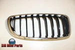 Bmw Front Grille Right Luxury 51137294806. Fixed Price $40.36.