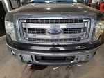 2013 F150 Grille SKU#4432346. Fixed Price $513.95.