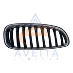 Bmw Z4 2011 E89 Front Kidney Grille Right Side 51137191510. Fixed Price $64.99.