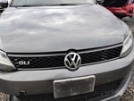 Grille Upper Fits 12-14 Jetta Gli 2796104. Fixed Price $162.99.