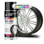 Automotive Wheel Paint Ford Pumice Gold Metallic 2627C. Fixed Price $36.99.