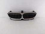 21 2019-2022 Bmw 3 Series G20 Grille 167622-10 Oem. Fixed Price $234.00.