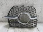 08 09 10 12 Bmw X6 - Grille Lower Ends Right 51117188384. Fixed Price $75.00.