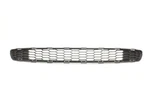 Front Lower Bumper Mounted Grille Fits 13-17 Leaf. Fixed Price $85.00.