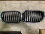 750 Li Grille Set Bmw. Fixed Price $50.00.
