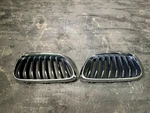 16-21 Bmw Series F22 F23 Front Kidney Grille Pair L+r Oem 7295522 / 7295521. Fixed Price $79.94.