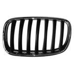 Driver Side Grille Fits 2007-2013 Bmw X5 104-50416AL. Fixed Price $34.96.