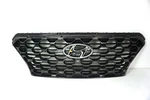 Oem 2019-2020 Hyundai Santa Fe Front Grille 86366S2110. Fixed Price $179.00.