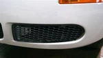 Left Driver Grille Without Fog Lamps Ends Fits 06-10 Beetle 76034. Fixed Price $84.00.