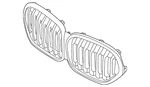 Genuine Bmw Upper Grille 51-13-8-493-451. Fixed Price $308.40.