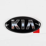 Genuine 863534D520 Front Grill Emblem For Kia Sedona Carnival 2006-2010. Fixed Price $31.63.