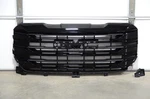 2022-2025 Gmc Sierra 1500 Sle Black Grille Genuine Oem 84878061. Fixed Price $199.00.